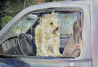 Barking Out the Window by Andrea Holte