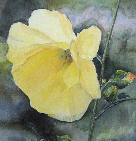 Yellow Flower by Andrea Holte